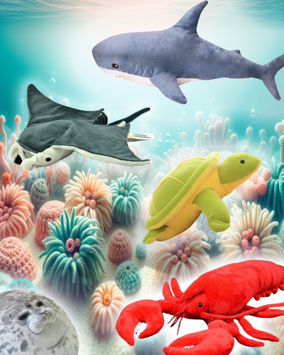 Ocean Creatures Collection Mobile Banner