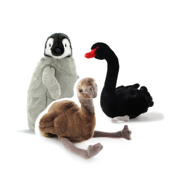 All Birds Plush Toys