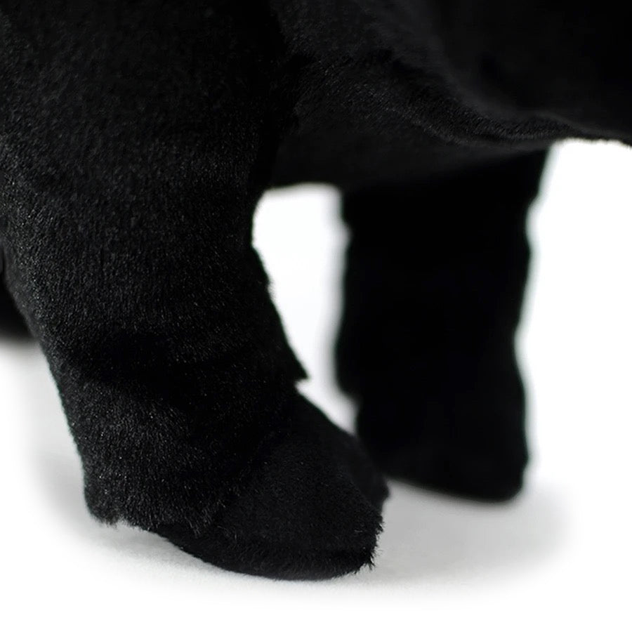 Black Pig Plush Toy