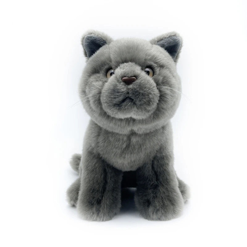 British shorthair plush toy best sale