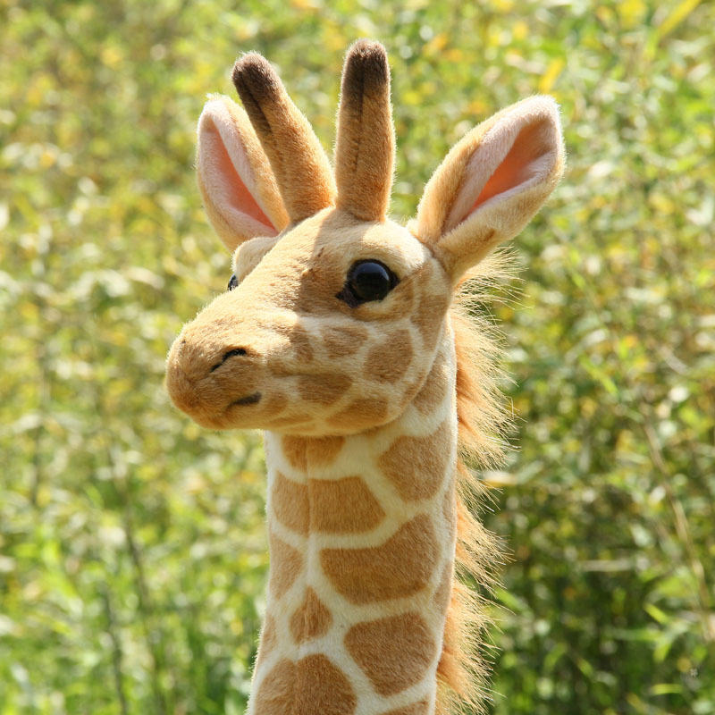 African giraffe toy