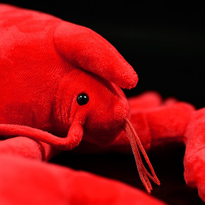 Lovely Lobster Plush Toy