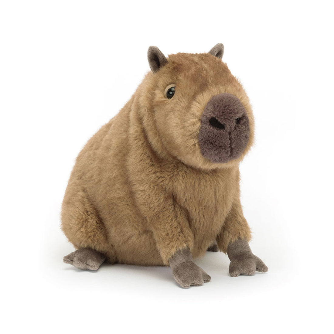 Fluffy Capybara Plush Toy