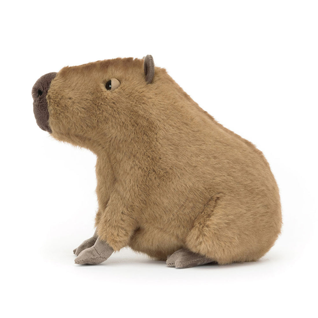 Fluffy Capybara Plush Toy