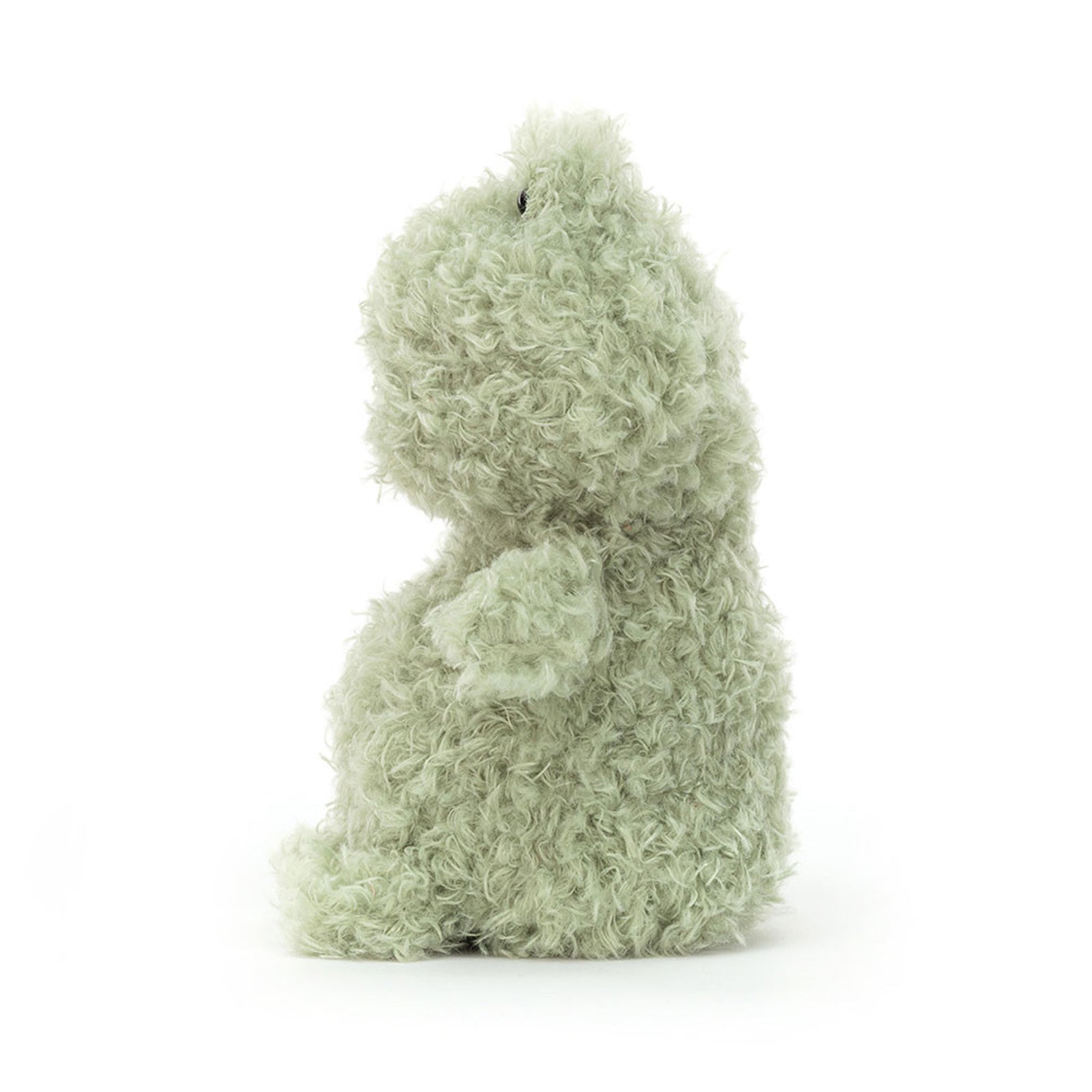 Fuzzy Frog Plush Toy