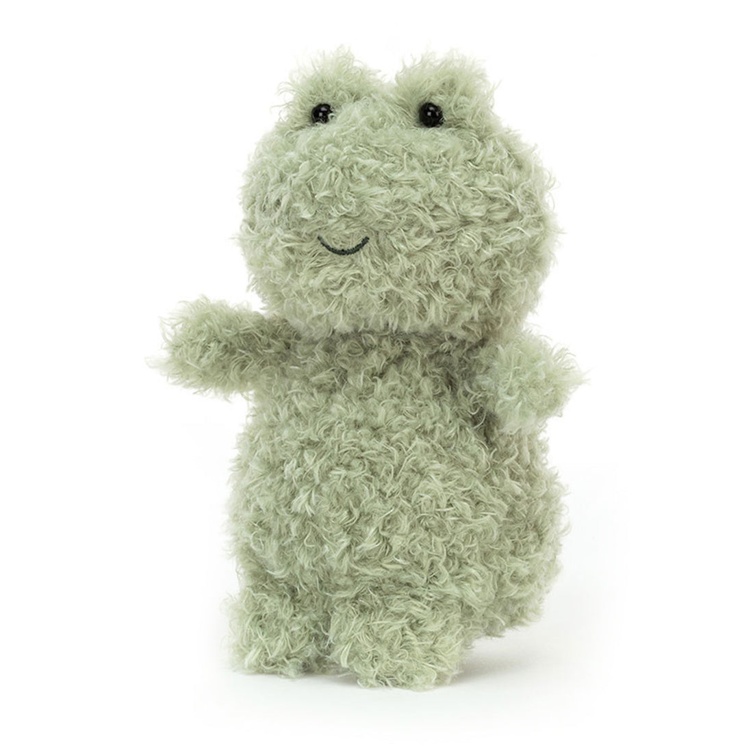 Fuzzy Frog Plush Toy