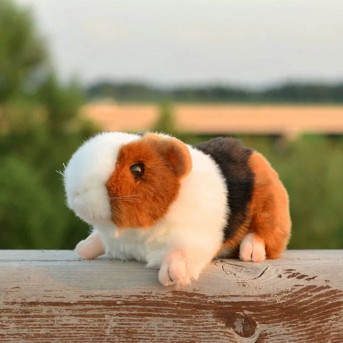 Guinea Pig Plush Toy