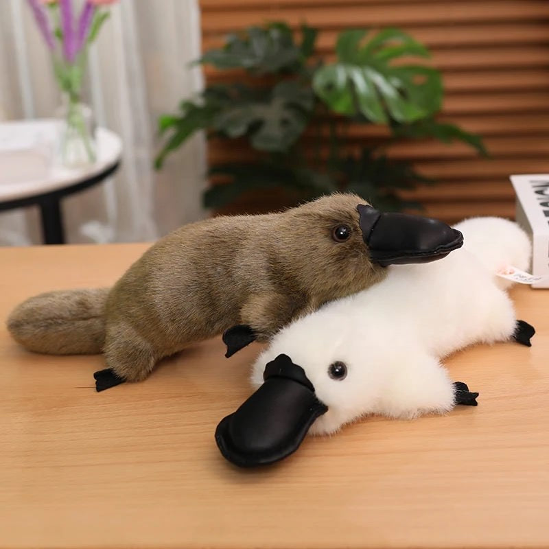 Platypus Plush Toy