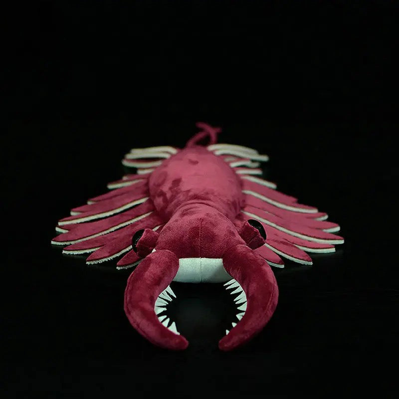 Prehistoric Anomalocaris Plush Toy