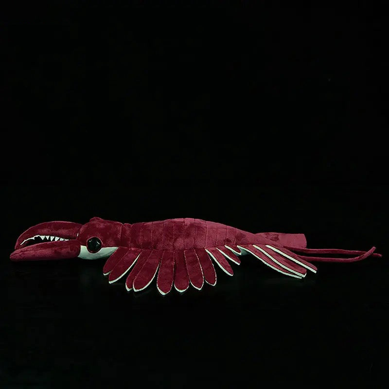 Prehistoric Anomalocaris Plush Toy