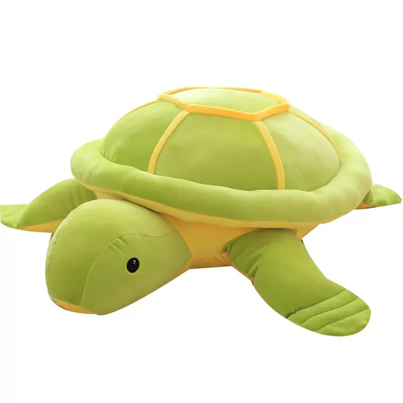 Shelldon the Turtle Plushie