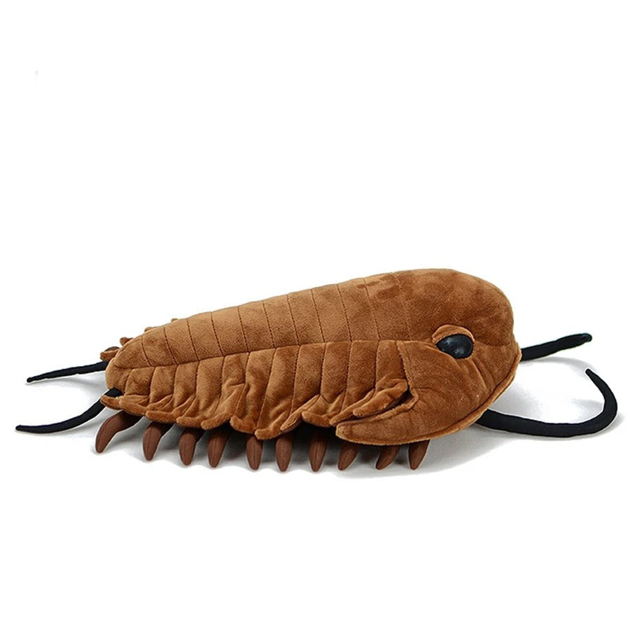 Trilobite Plush Toy