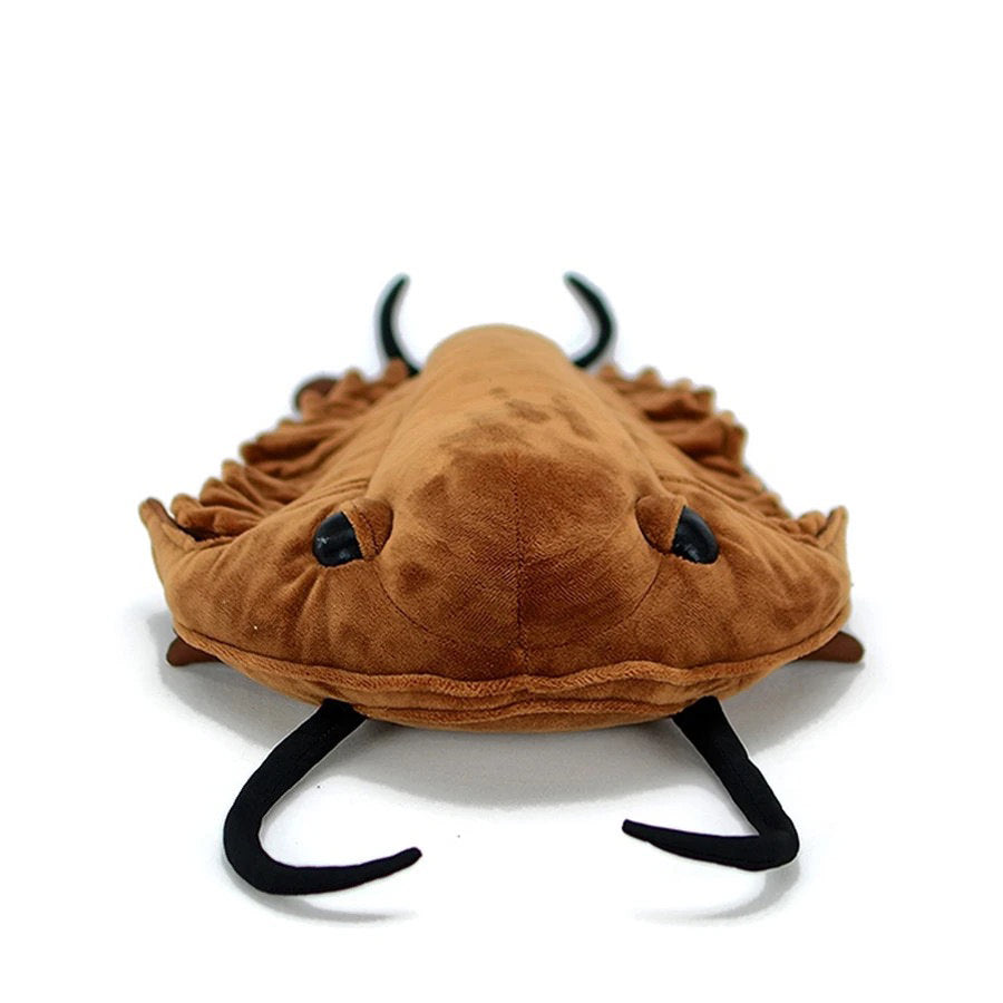 Trilobite Plush Toy