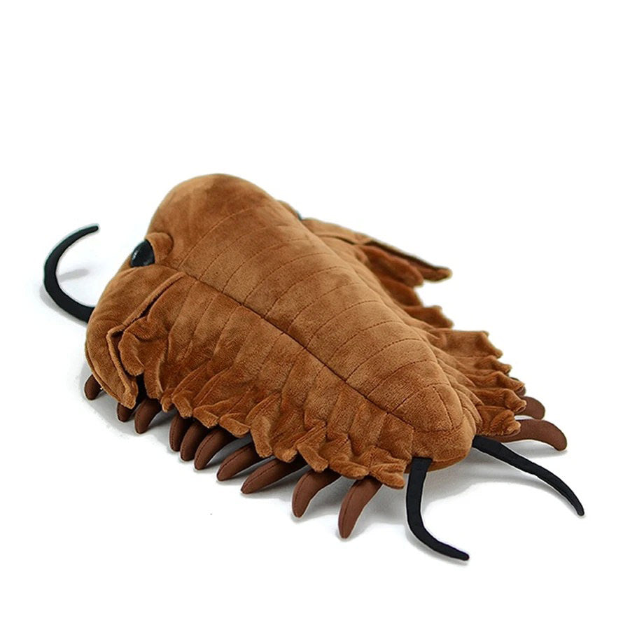 Trilobite Plush Toy