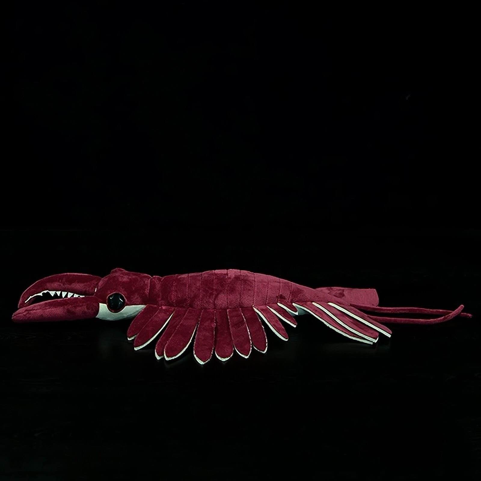 Anomalocaris Plush Toy