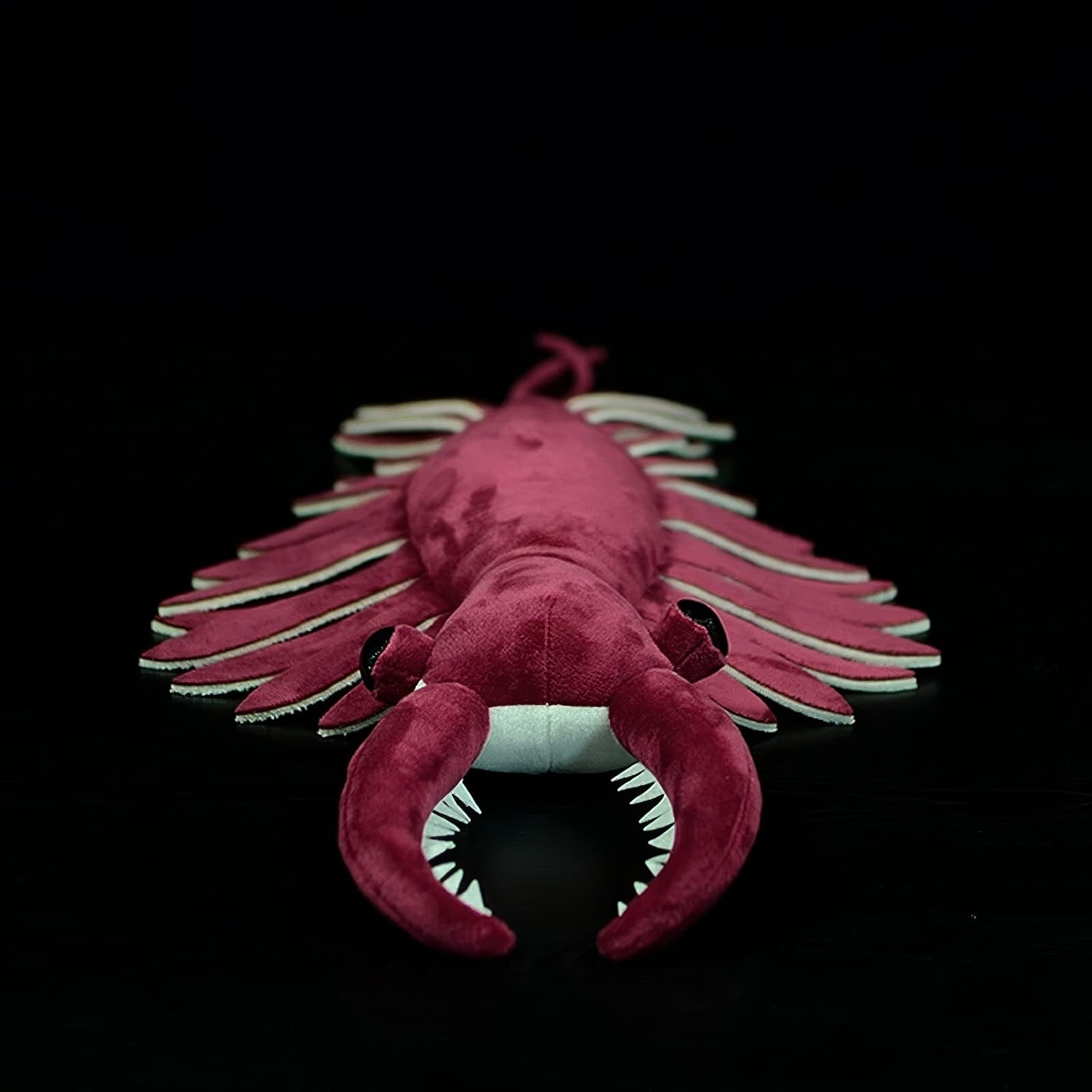 Anomalocaris Plush Toy