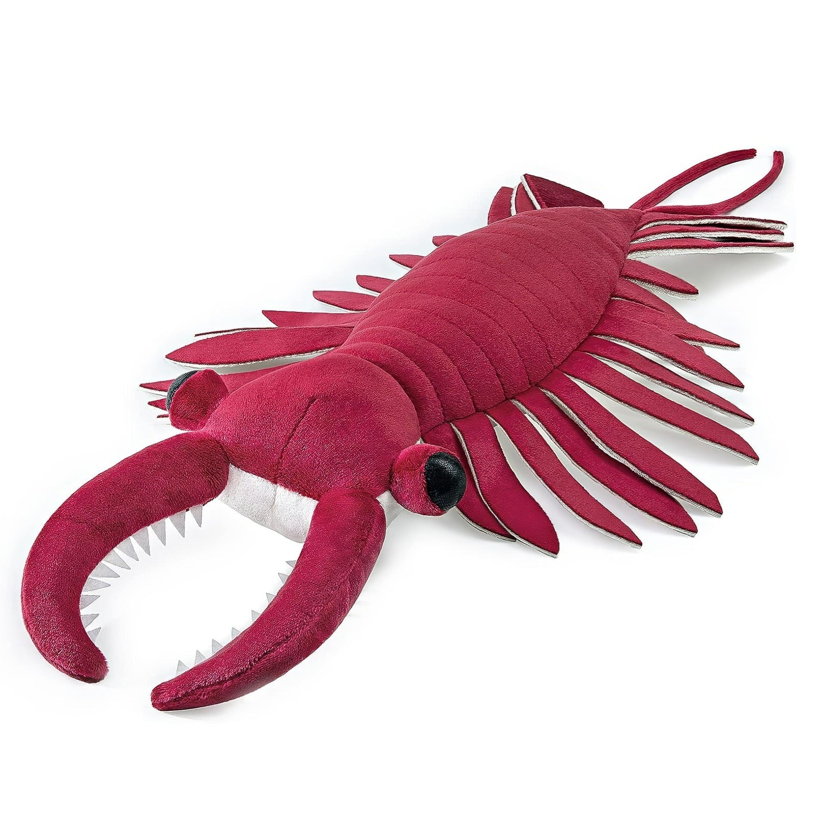 Anomalocaris Plush Toy