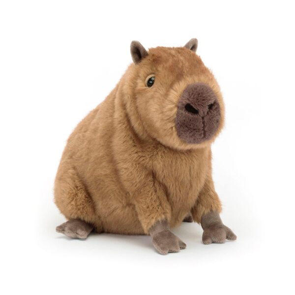 Capybara Plush Toy