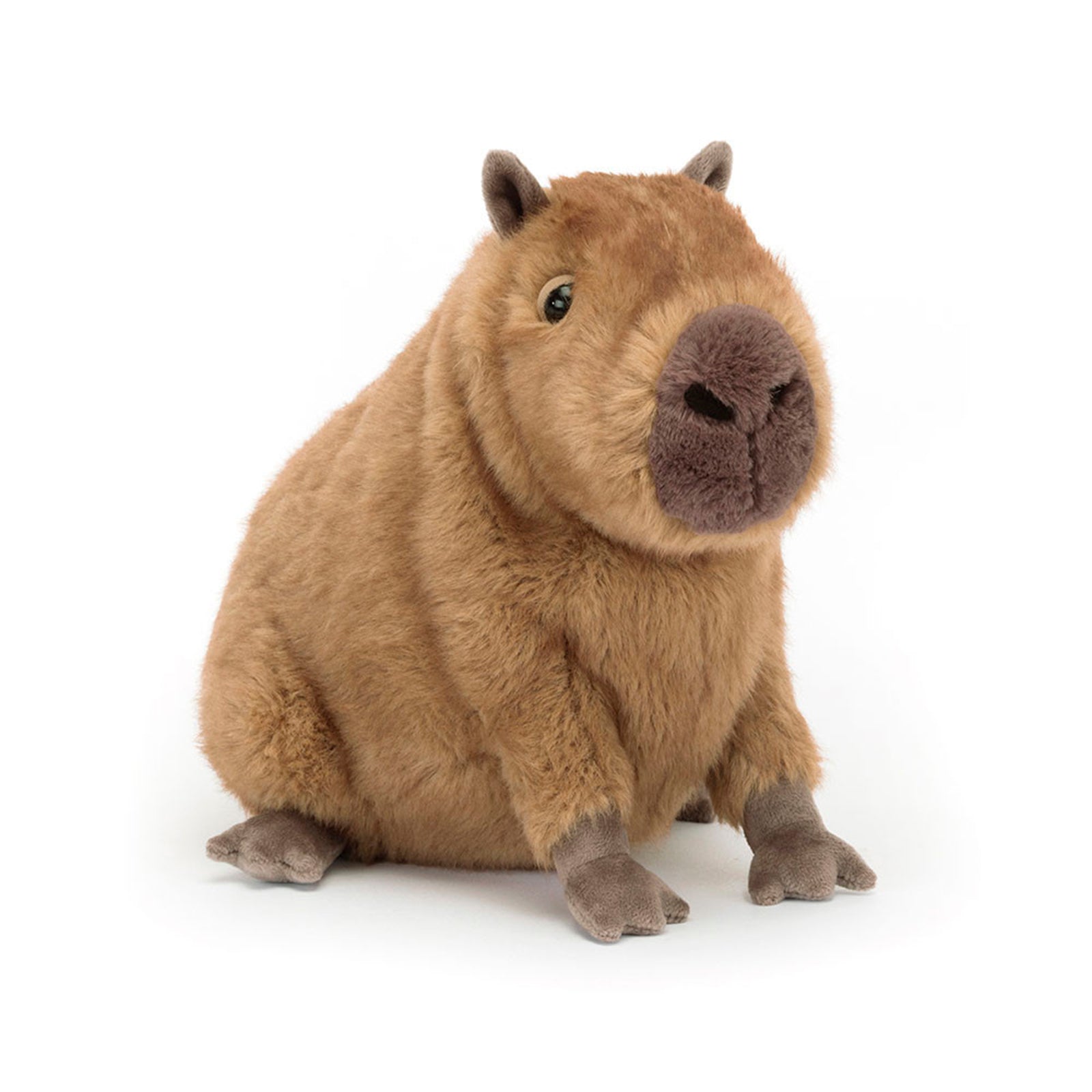 Capybara Plush Toy
