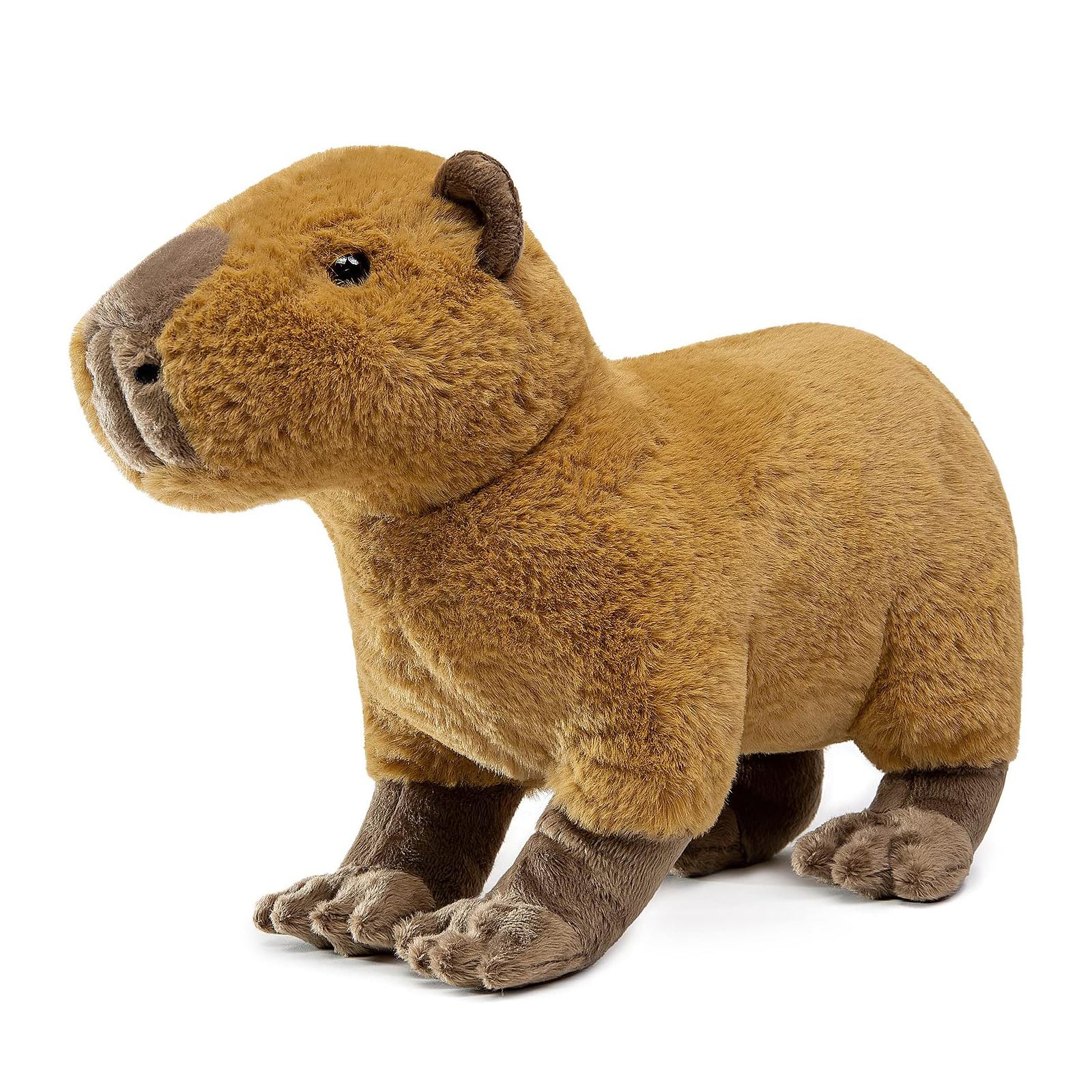 Capybara Plush Toy