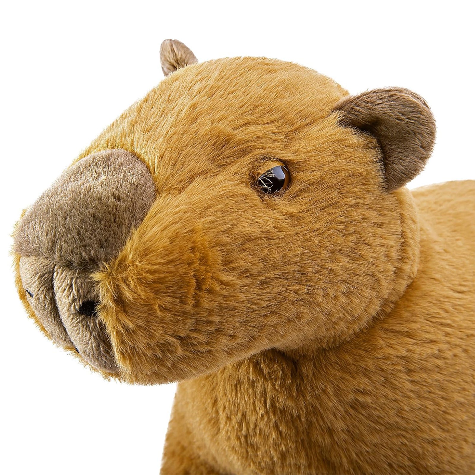 Capybara Plush Toy