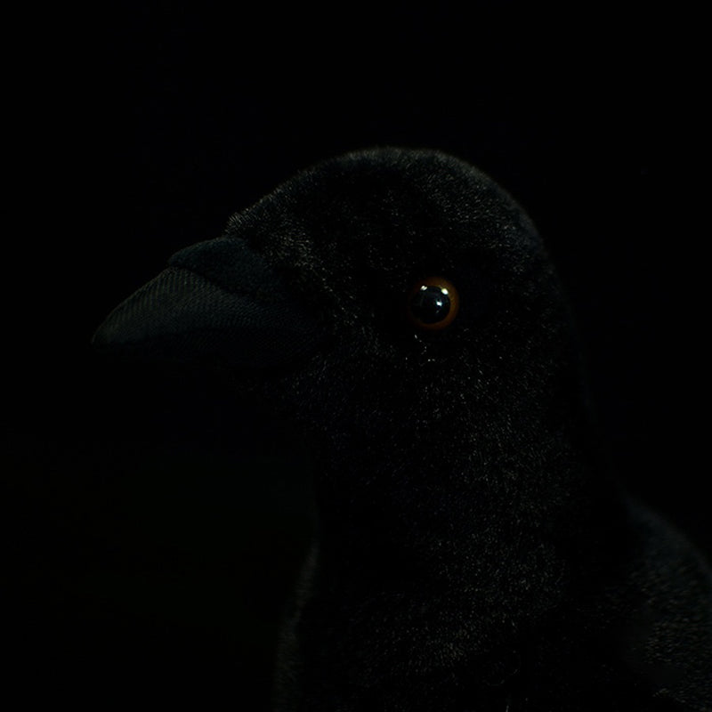 Crow Plush Toy
