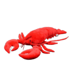 Lovely Lobster Toy