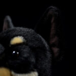 Dobermann Puppy Plush Toy