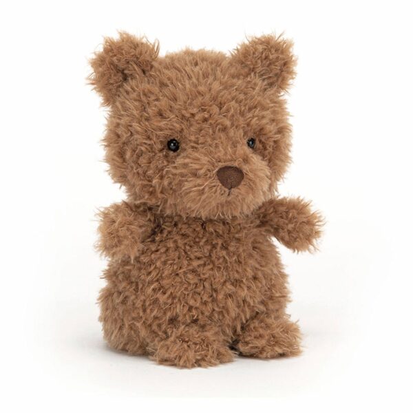 Little Bear Plush Toy