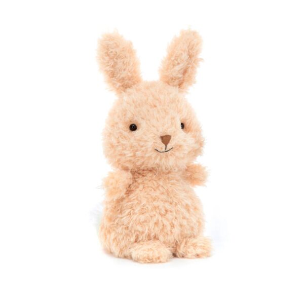 Little Bunny Plush Toy