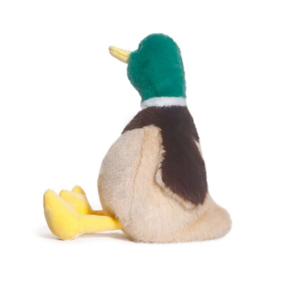 Mallard_Duck_Plush_Toy4_7b8e36ad-717a-4941-a0a4-11dd198ffffb.jpg
