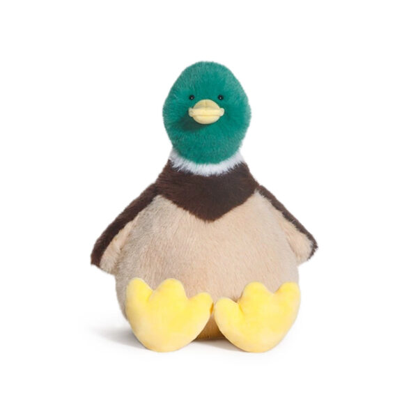 Quacker the Mallard Duck