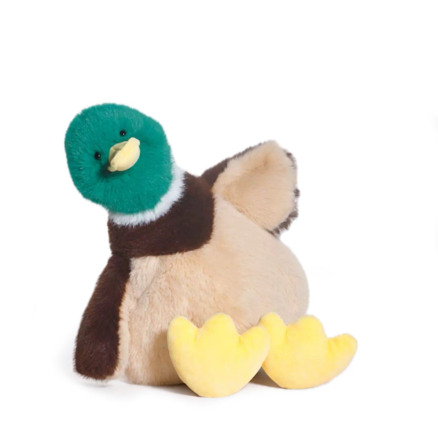 Quacker the Mallard Duck