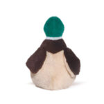 Quacker the Mallard Duck