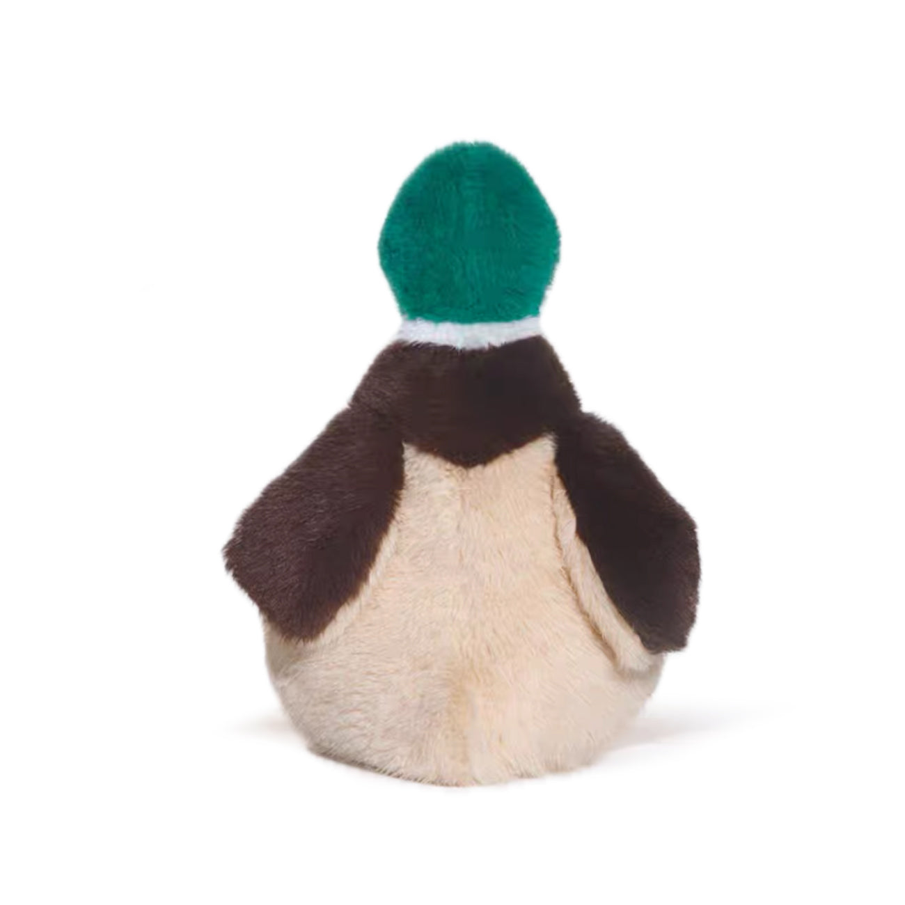 Quacker the Mallard Duck