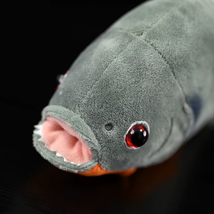 Piranha Plush Toy