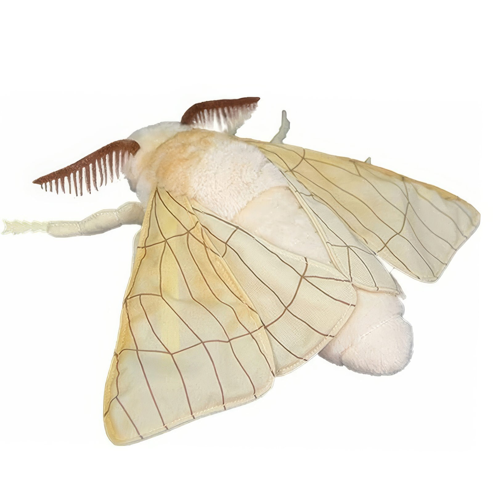 Poodle Moth Plush Toy