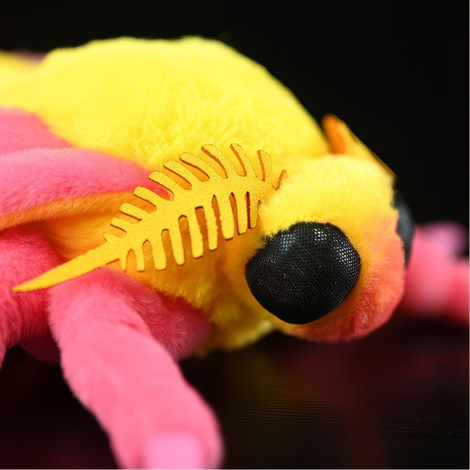 Rosy Maple Moth
