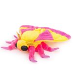 Rosy Maple Moth