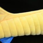 Sacabambaspis Plush Toy