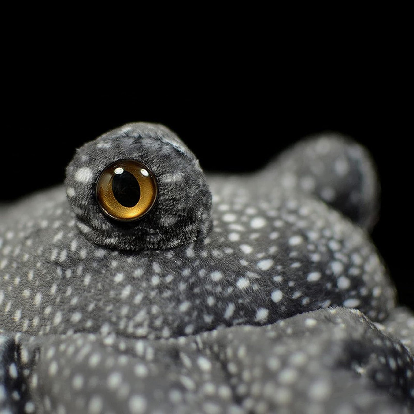 Spotted Eagle Ray Plush Toy