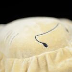 Spotted Eagle Ray Plush Toy