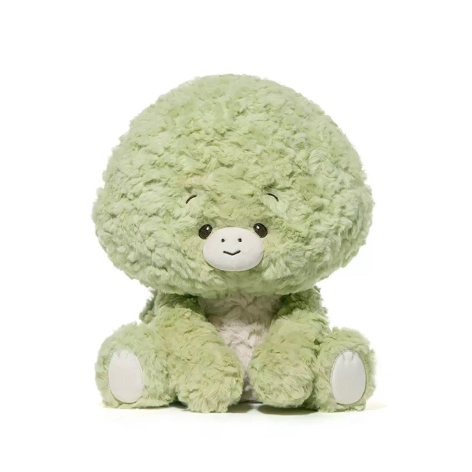 Tortoise Plush Toy