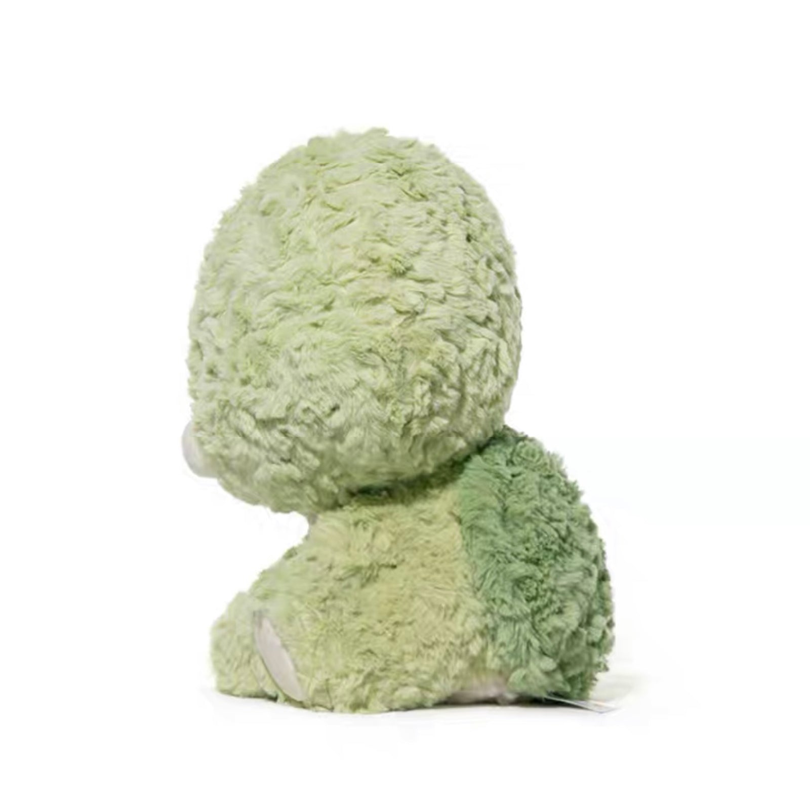Tortoise Plush Toy