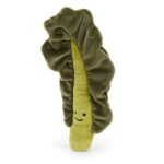 Vivacious Vegetable Kale Leaf