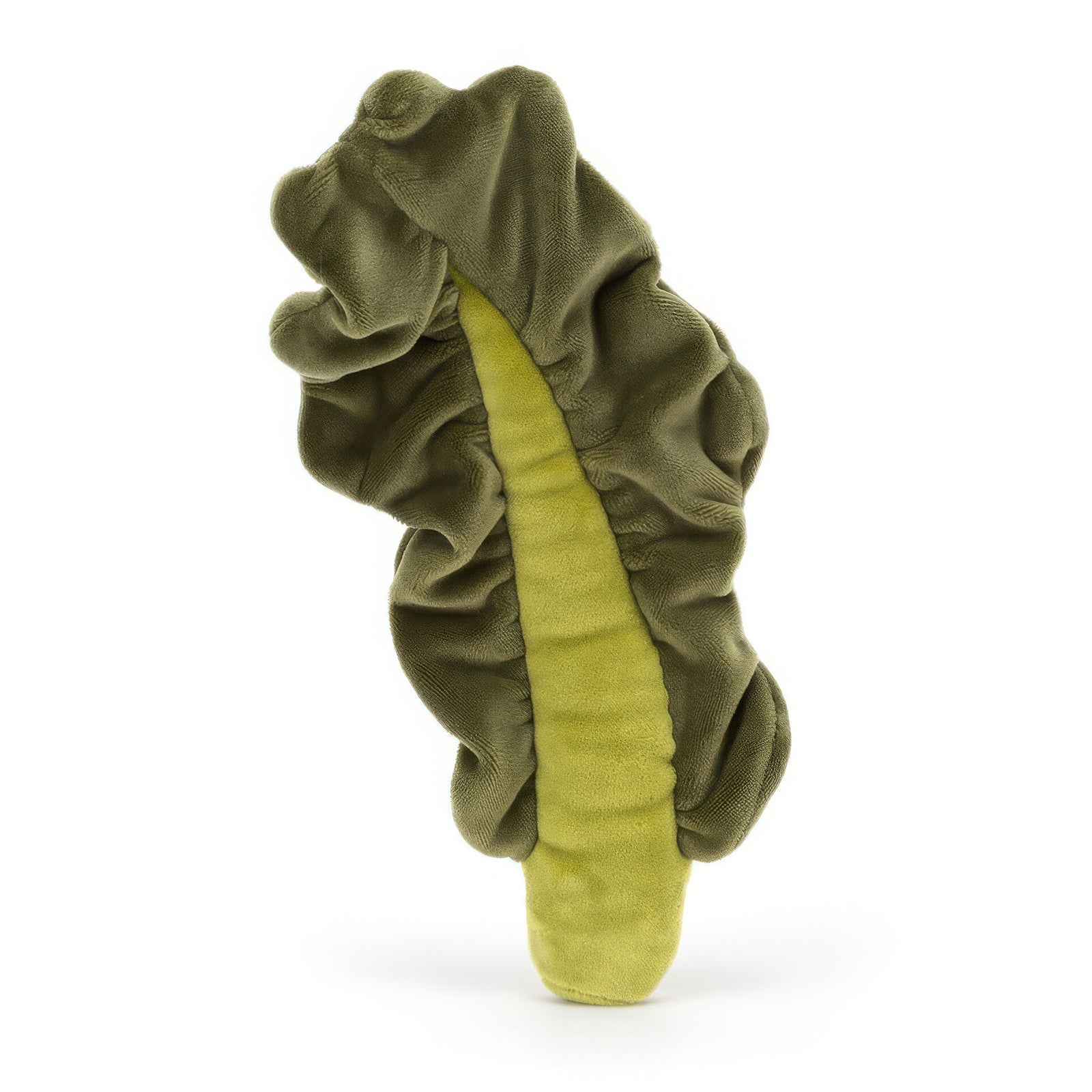 Vivacious Vegetable Kale Leaf