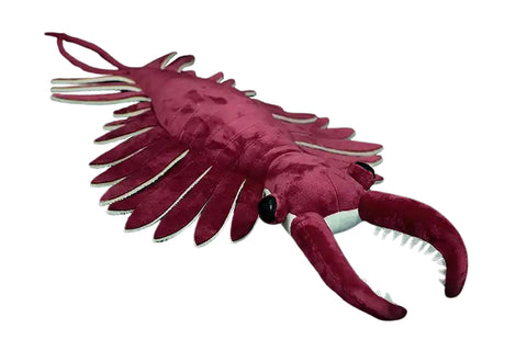 Anomalocaris Plush Toy