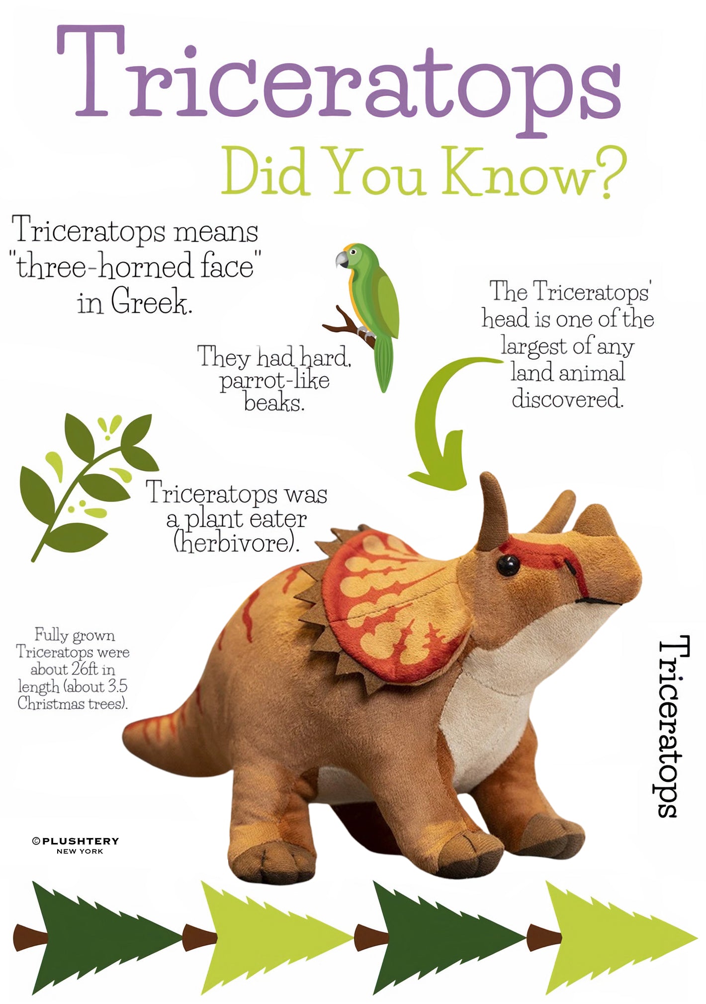 Plush Triceratops Interesting Facts
