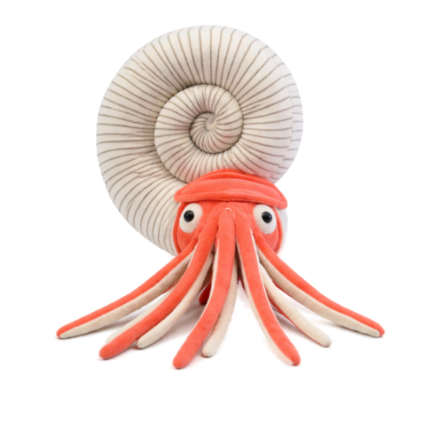 Ammonite Plush Toy - View 2